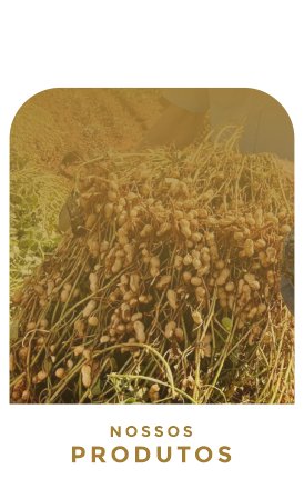 nossosprodutos