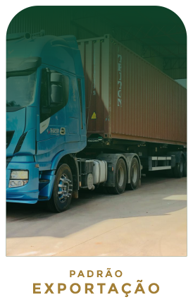 padraoexportacao